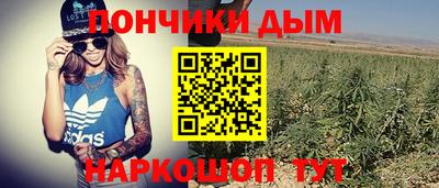 крисы Коммунар