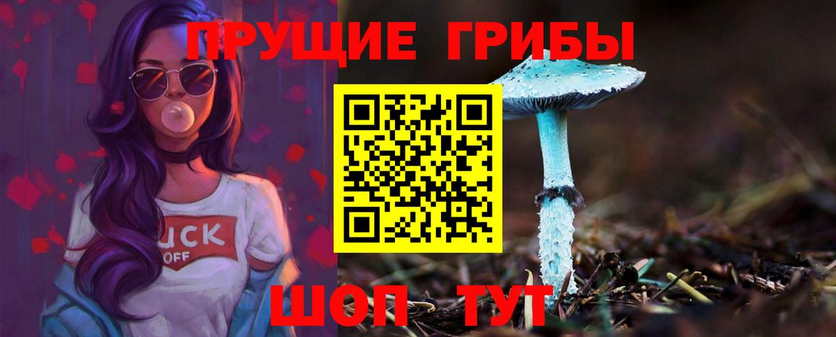 Галлюциногенные грибы Cubensis Балашов